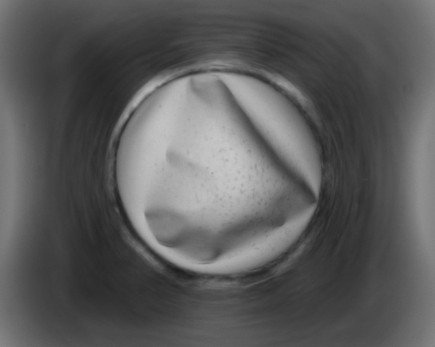 X0000083051374200703022101