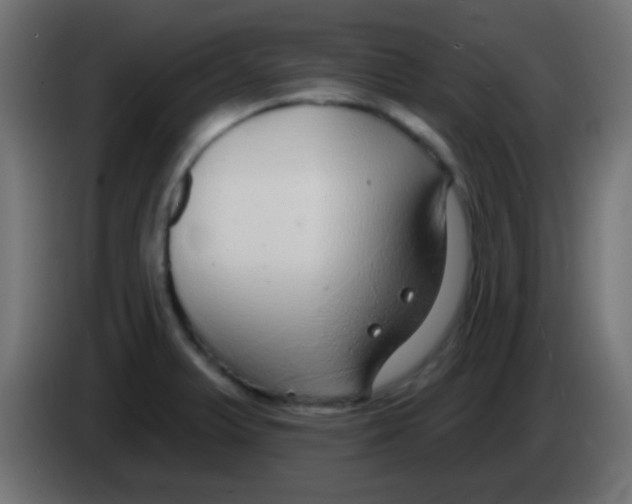 X0000083051375200703022101