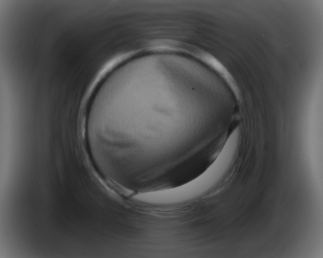 X0000083051376200703022101