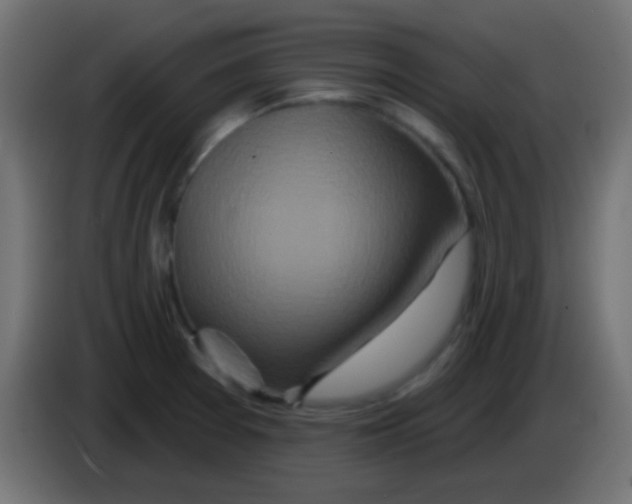 X0000083051377200703022101