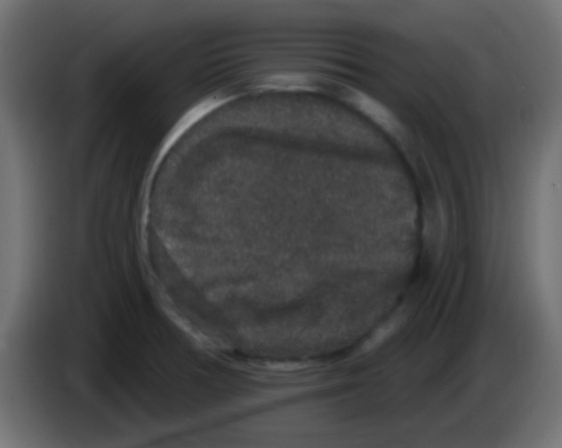 X0000083051378200703022101