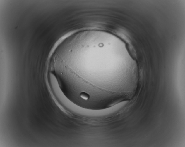 X0000083051379200703022101