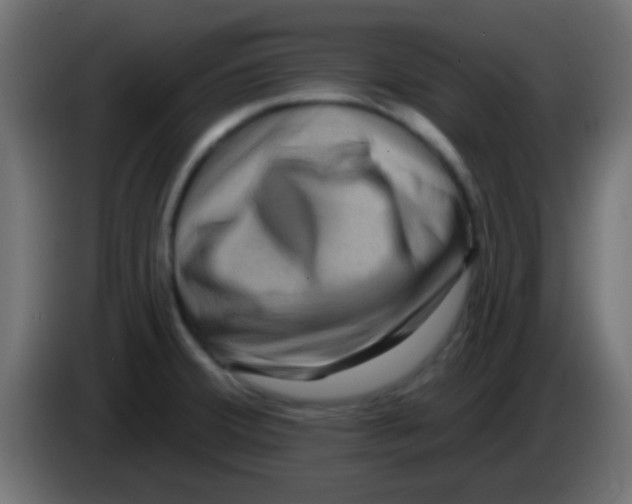 X0000083051380200703022101