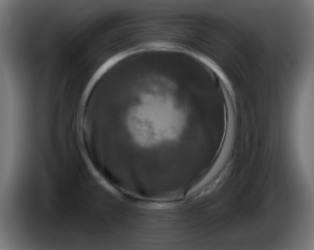 X0000083051381200703022101