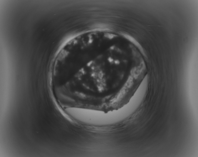 X0000083051383200703022101