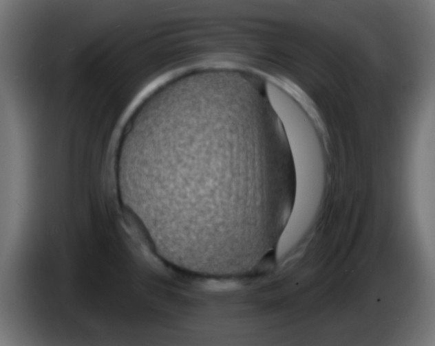 X0000083051384200703022101