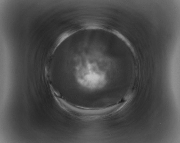 X0000083051385200703022101