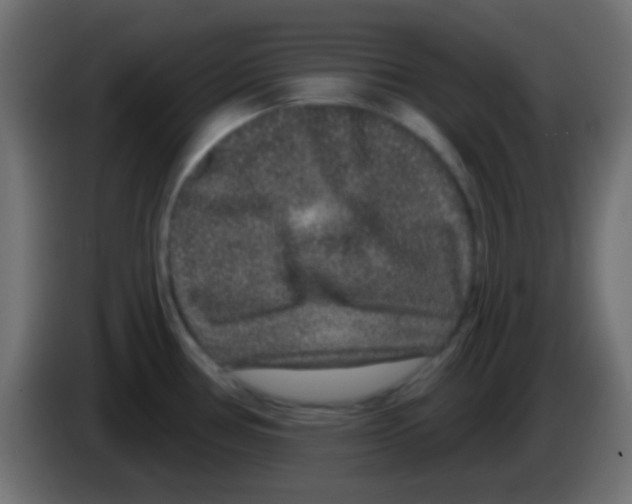 X0000083051386200703022101