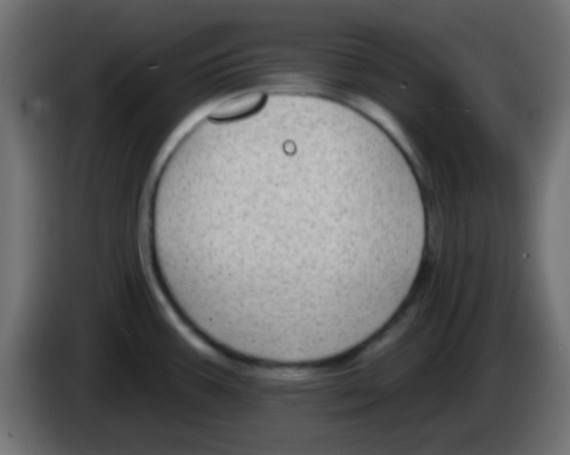 X0000083051387200703022101