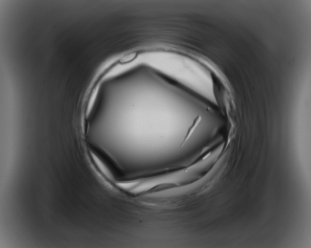 X0000083051388200703022101