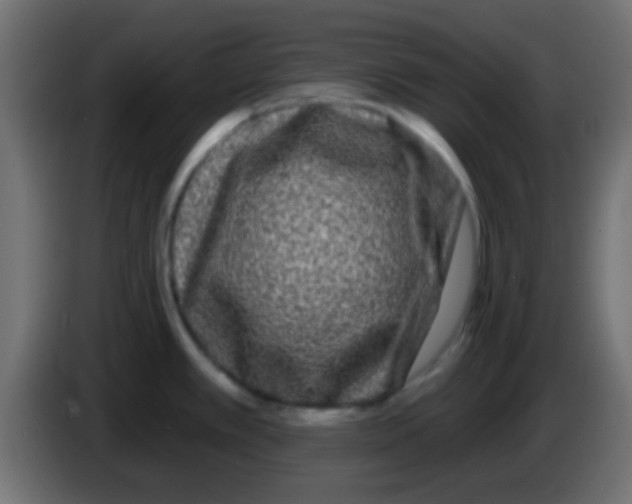 X0000083051389200703022101