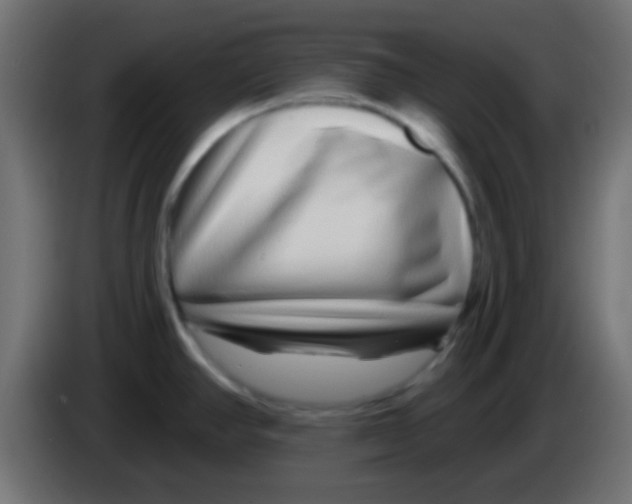 X0000083051390200703022101