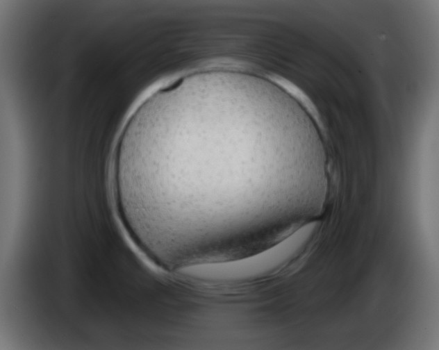 X0000083051391200703022101