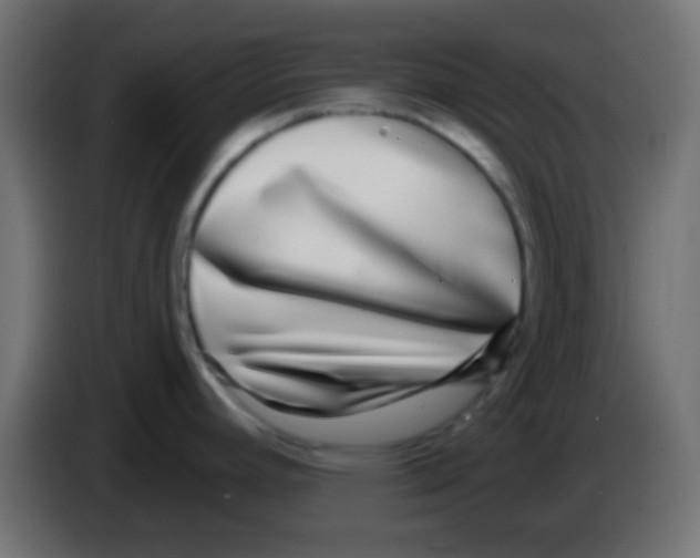 X0000083051392200703022101