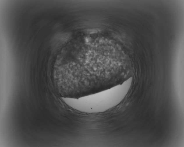 X0000083051393200703022100