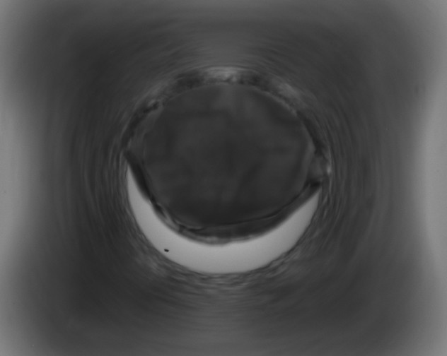 X0000083051394200703022100