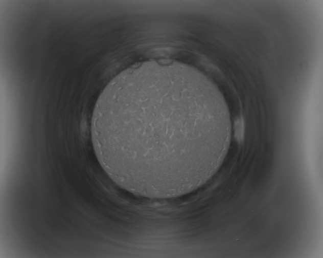 X0000083051395200703022100