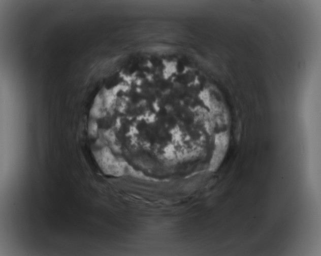 X0000083051397200703022100