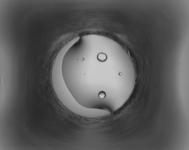 X0000083051398200703022100