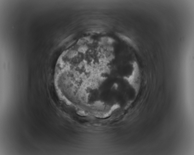 X0000083051399200703022100