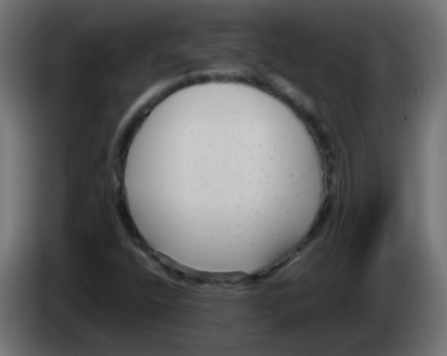 X0000083051400200703022100