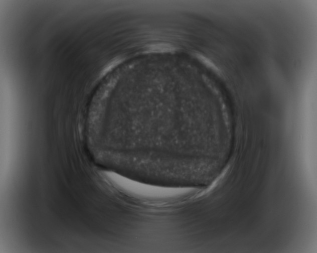 X0000083051401200703022100