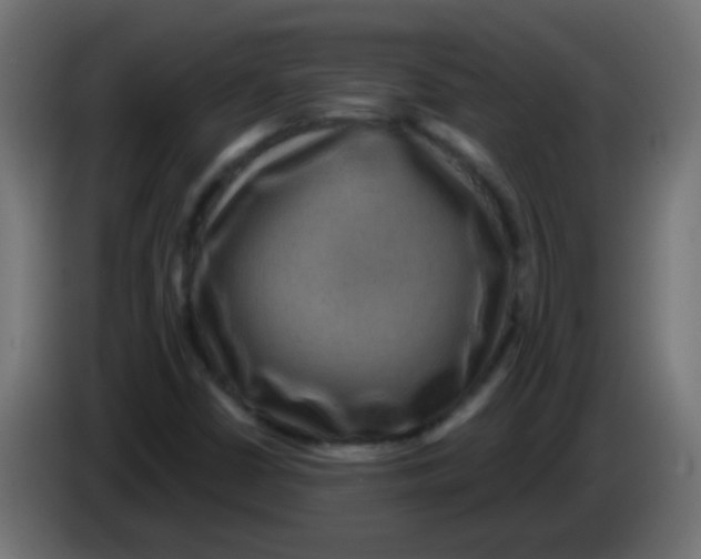 X0000083051402200703022100