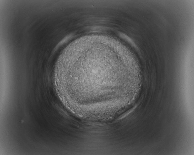 X0000083051403200703022100