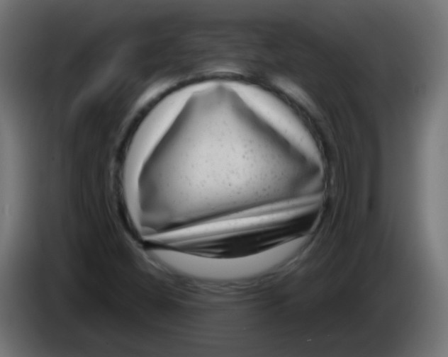 X0000083051404200703022100