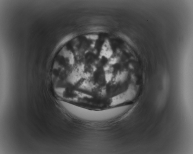 X0000083051405200703022100