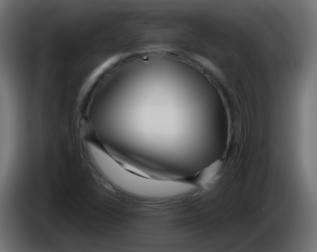 X0000083051406200703022100