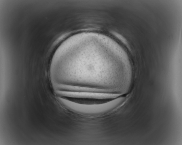 X0000083051407200703022100