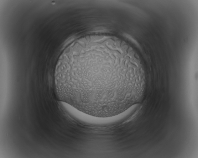 X0000083051409200703022100