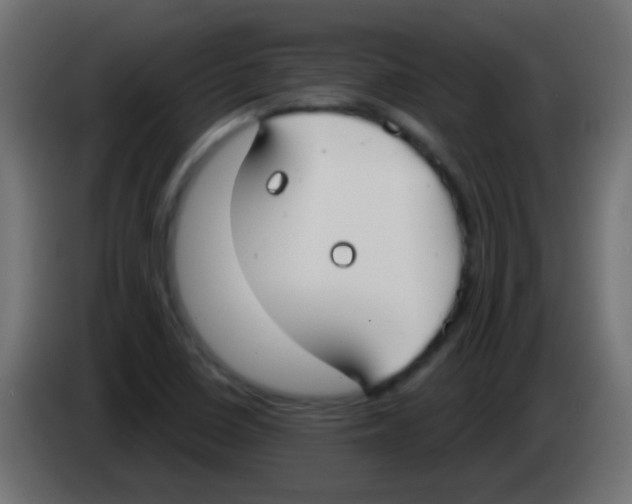 X0000083051410200703022100