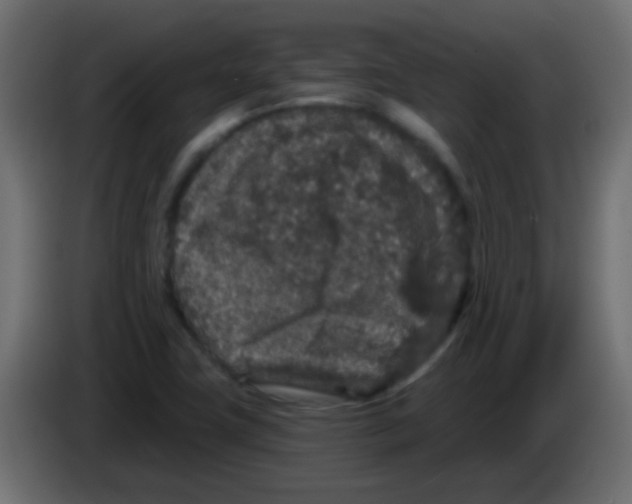 X0000083051411200703022100