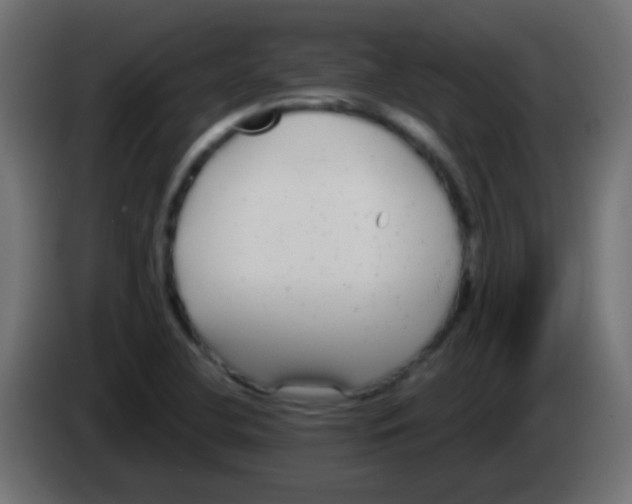 X0000083051412200703022100