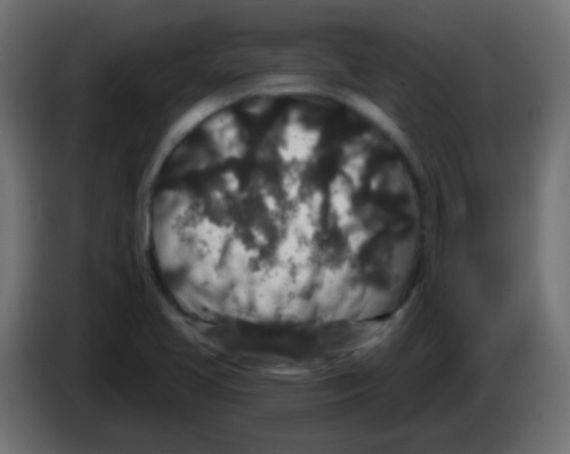 X0000083051413200703022100