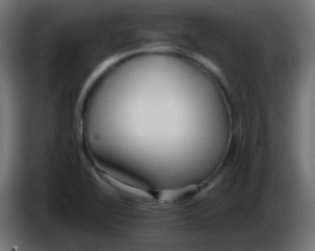 X0000083051414200703022100