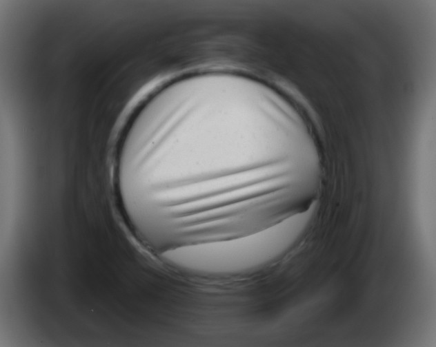 X0000083051416200703022100