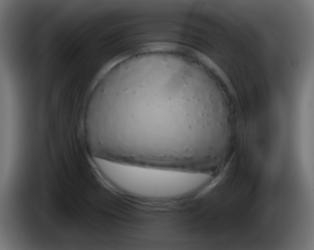 X0000083051417200703022100