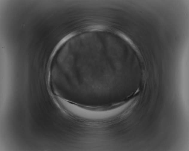 X0000083051418200703022100