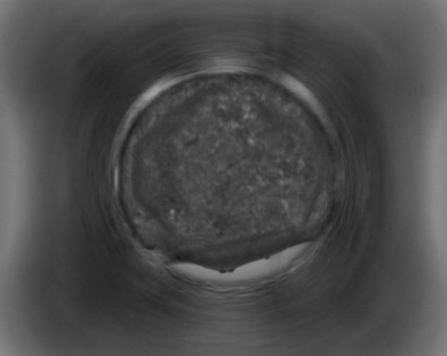 X0000083051419200703022101