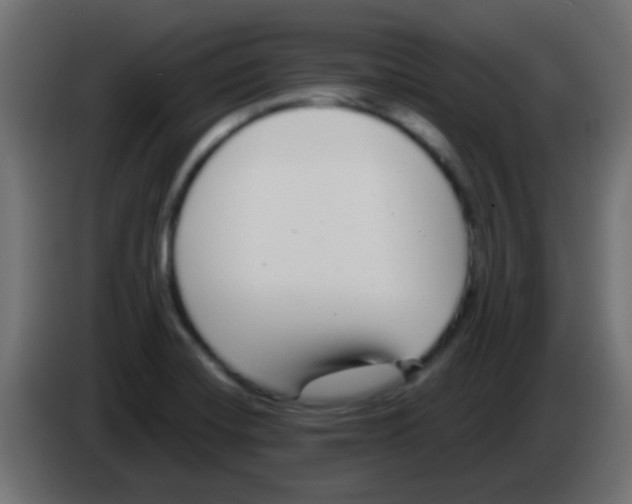 X0000083051420200703022101