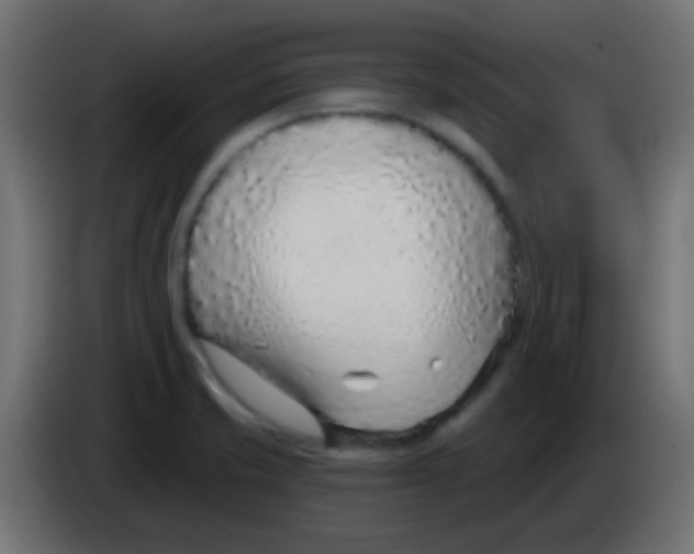 X0000083051421200703022101