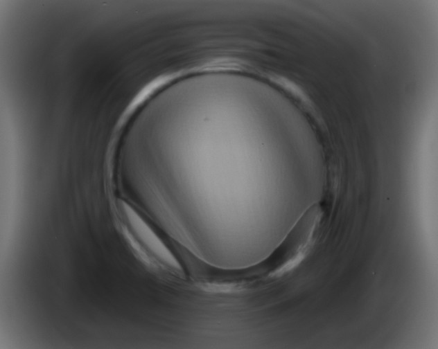 X0000083051422200703022101