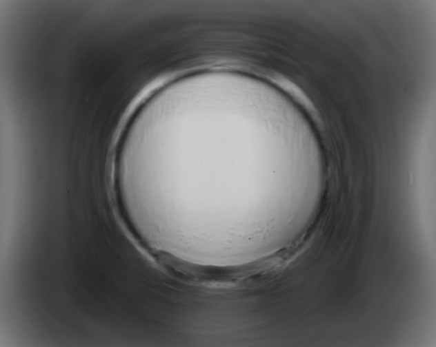 X0000083051424200703022101