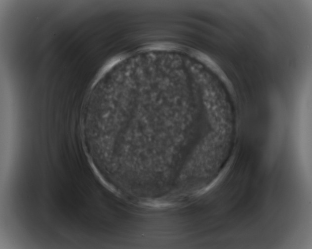 X0000083051425200703022101