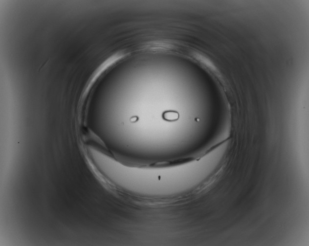 X0000083051426200703022101