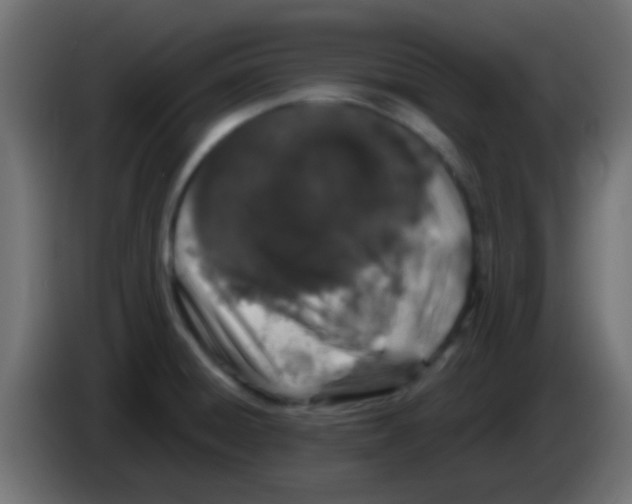 X0000083051428200703022101