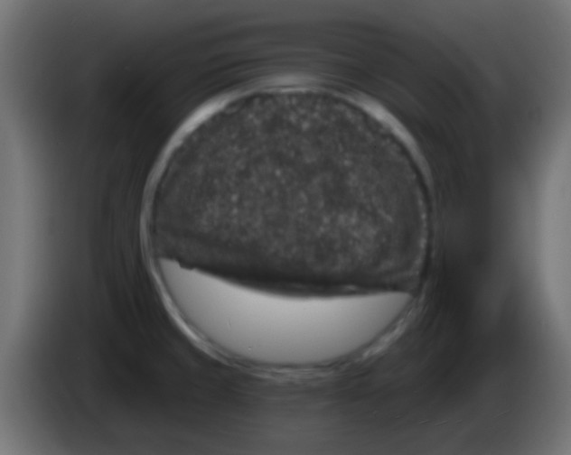 X0000083051429200703022101